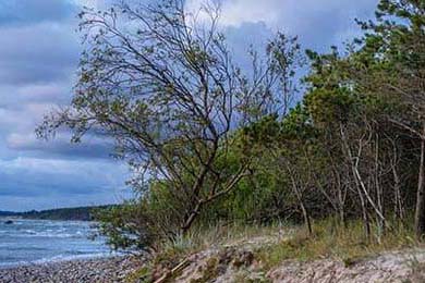 2025全球电竞冠军赛开启，顶尖战队激烈角逐，2020全球电子竞技大赛