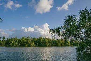 5大球星未来走向预测，谁会成为焦点？，未来十大球星